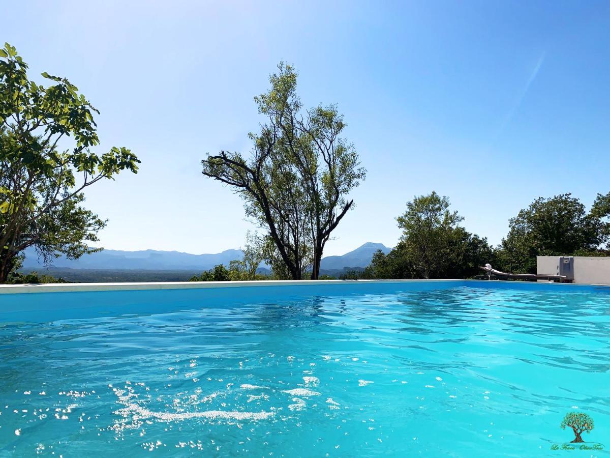 La Finca Olivetree Katuni Buitenkant foto